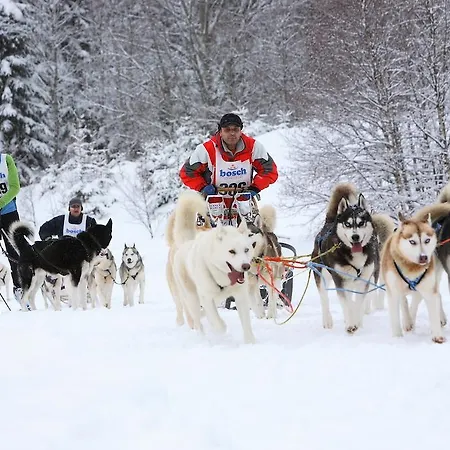 Hotel Sport 3*